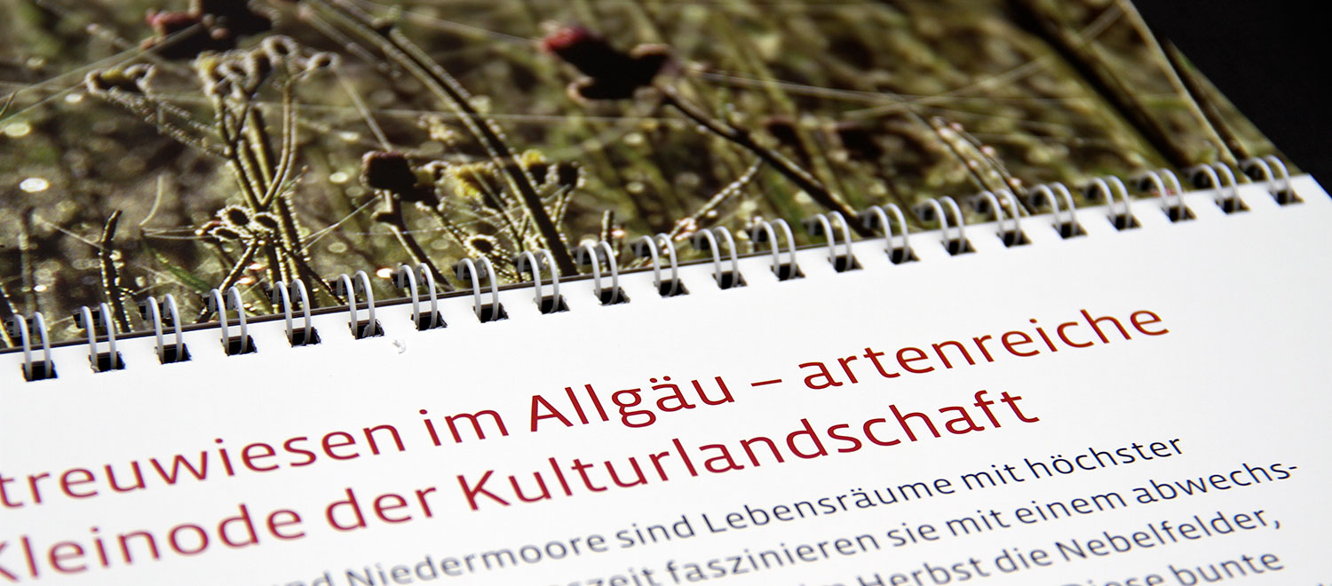 almo allgaeuer moorkalender05